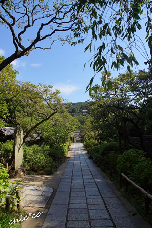 東慶寺-278