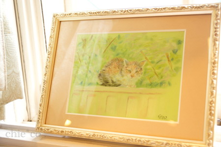 DSC08507-001