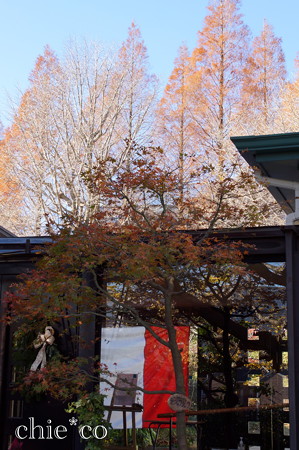 山手イタリア山庭園-255