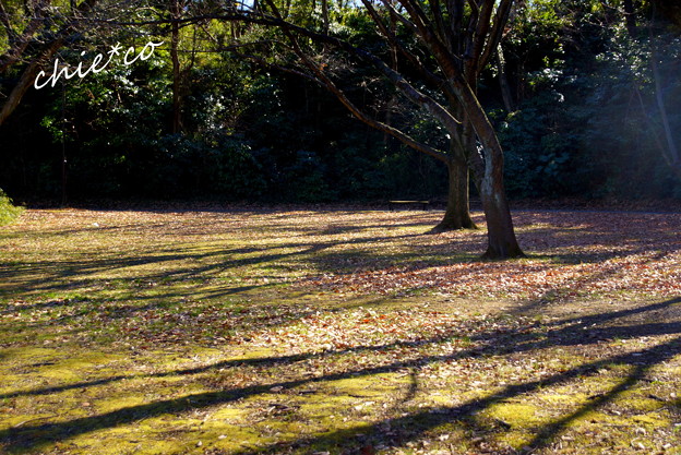 久良岐公園-113