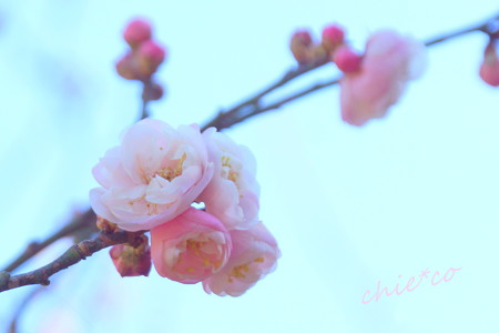 久良岐公園-129