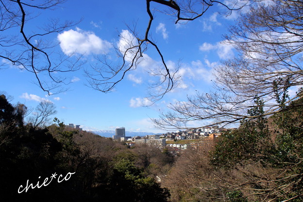 久良岐公園-136
