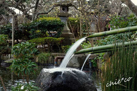 長谷寺-210