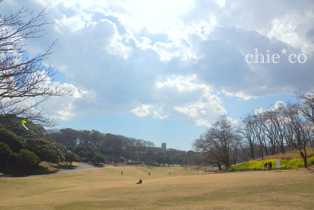 横浜根岸森林公園-131