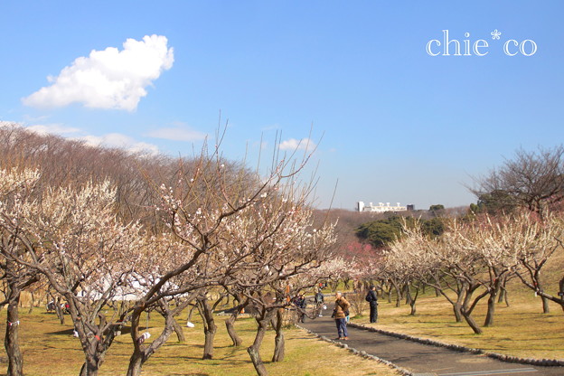 横浜根岸森林公園-163