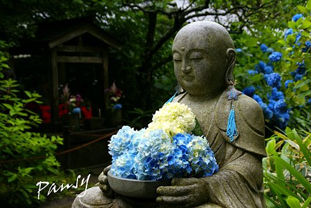 花想い地蔵さま・・明月院 blue・・2