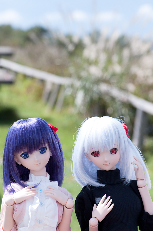 クリックで拡大します