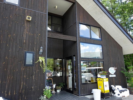 160808-28松ぼっくり