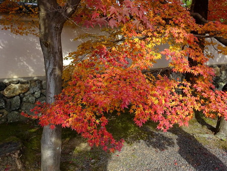 161117-21天竜寺