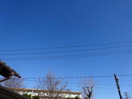 170117晴れた!
