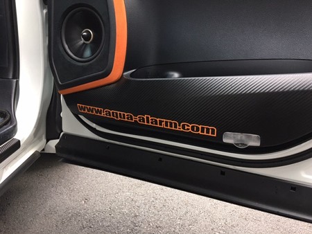３０アルファード・ヴェルファイア　ドアパネル傷防止シート　運転席側