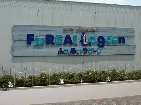 P1090334