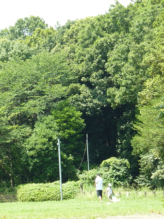 P1100082