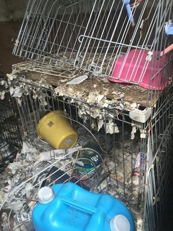 こんな所に二頭一緒に入れられてました…