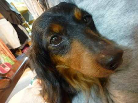 ルナ