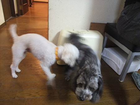 お~、そうやこの匂いや!