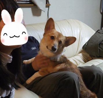 甘える