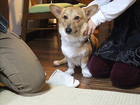 すでに家族の一員?