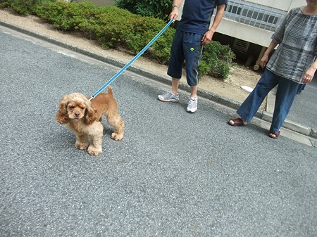 お見送りしてくれました