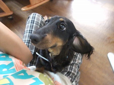 くっちゅきたいです