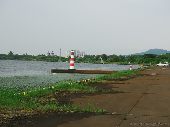 遊水池 P7300088