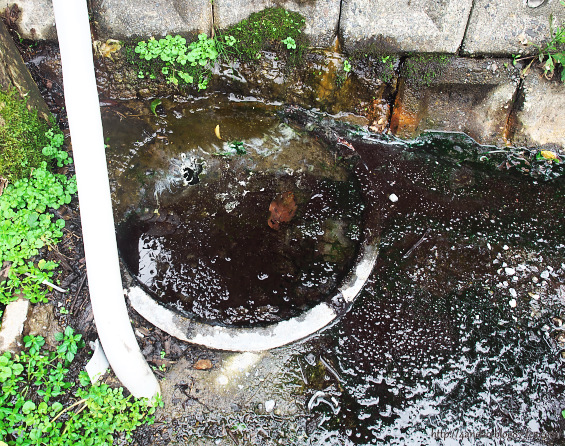 崖下土管の湯 P9110065