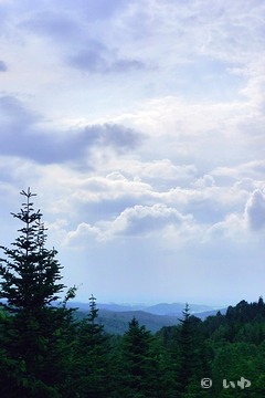 クリックで拡大 P1050761.jpg