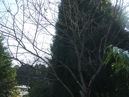 DSCF5870
