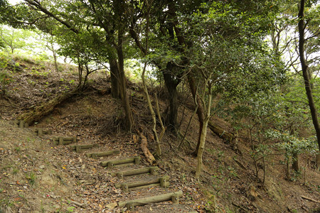 鳶ヶ巣城 (6)