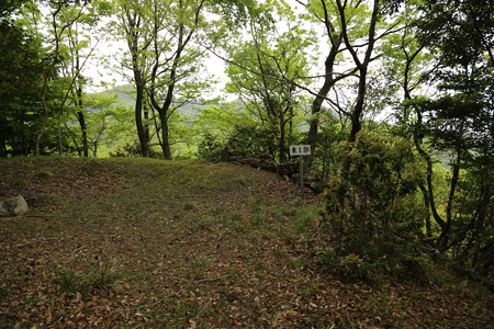 鳶ヶ巣城 (8)