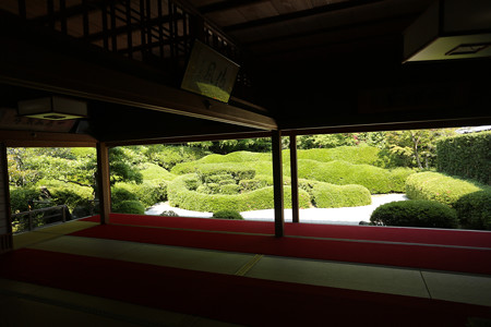 大池寺 (6)