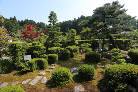 大池寺 (7)