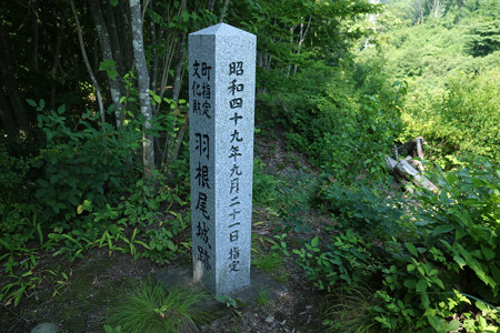 羽根尾城 (2)