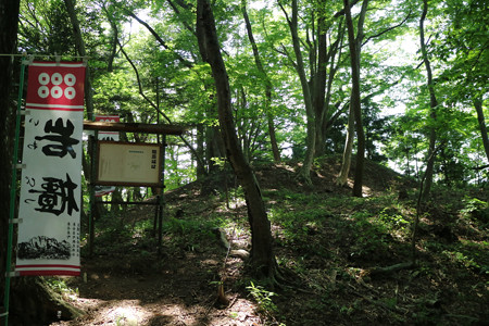 郷原城 (1)