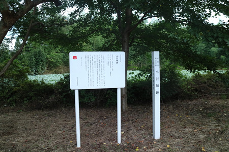 小沢城