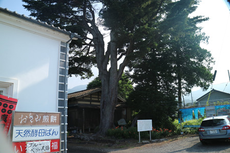 高平の書院 (1)