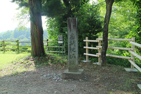 名胡桃城 (7)