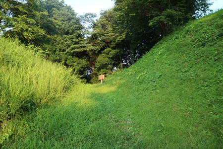 後閑城 (5)