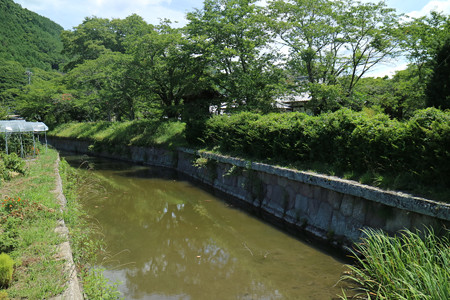 龍岡城五稜郭 (4)