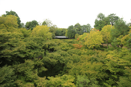 東福寺 (3)
