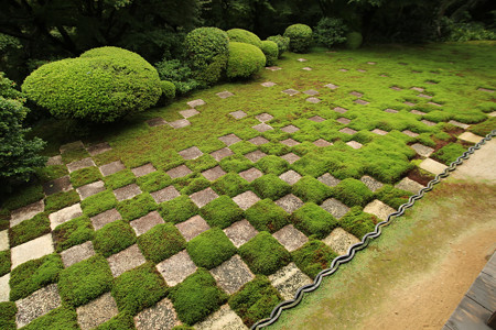東福寺 (9)