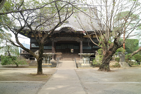 勝願寺 (8)