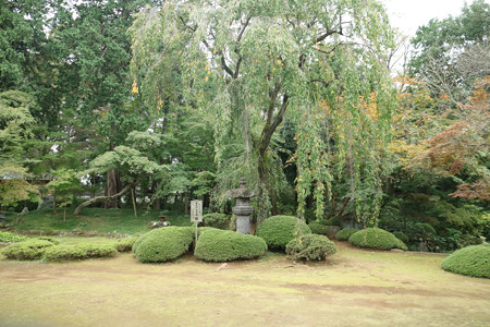 喜多院 (8)