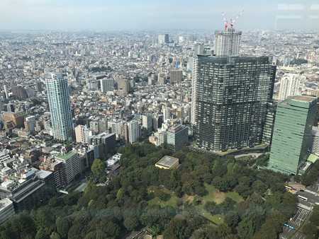 東京都庁 (6)