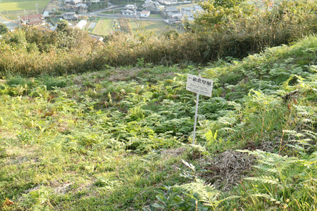 恒屋城
