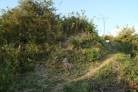 恒屋城 (22)