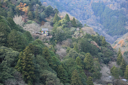 亀山公園 - 05