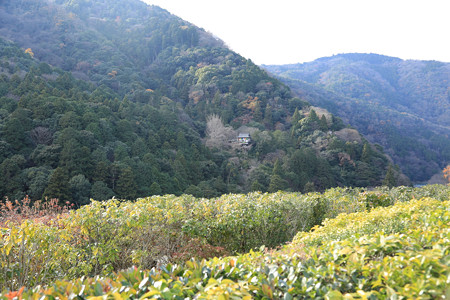 大河内山荘 - 05