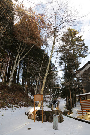 戸隠神社・火之御子社 (2)