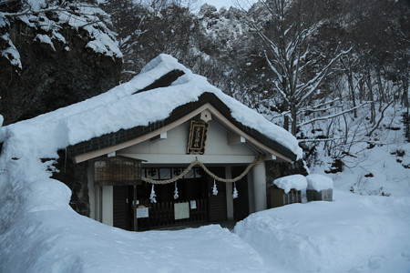 戸隠神社・奥社 (3)